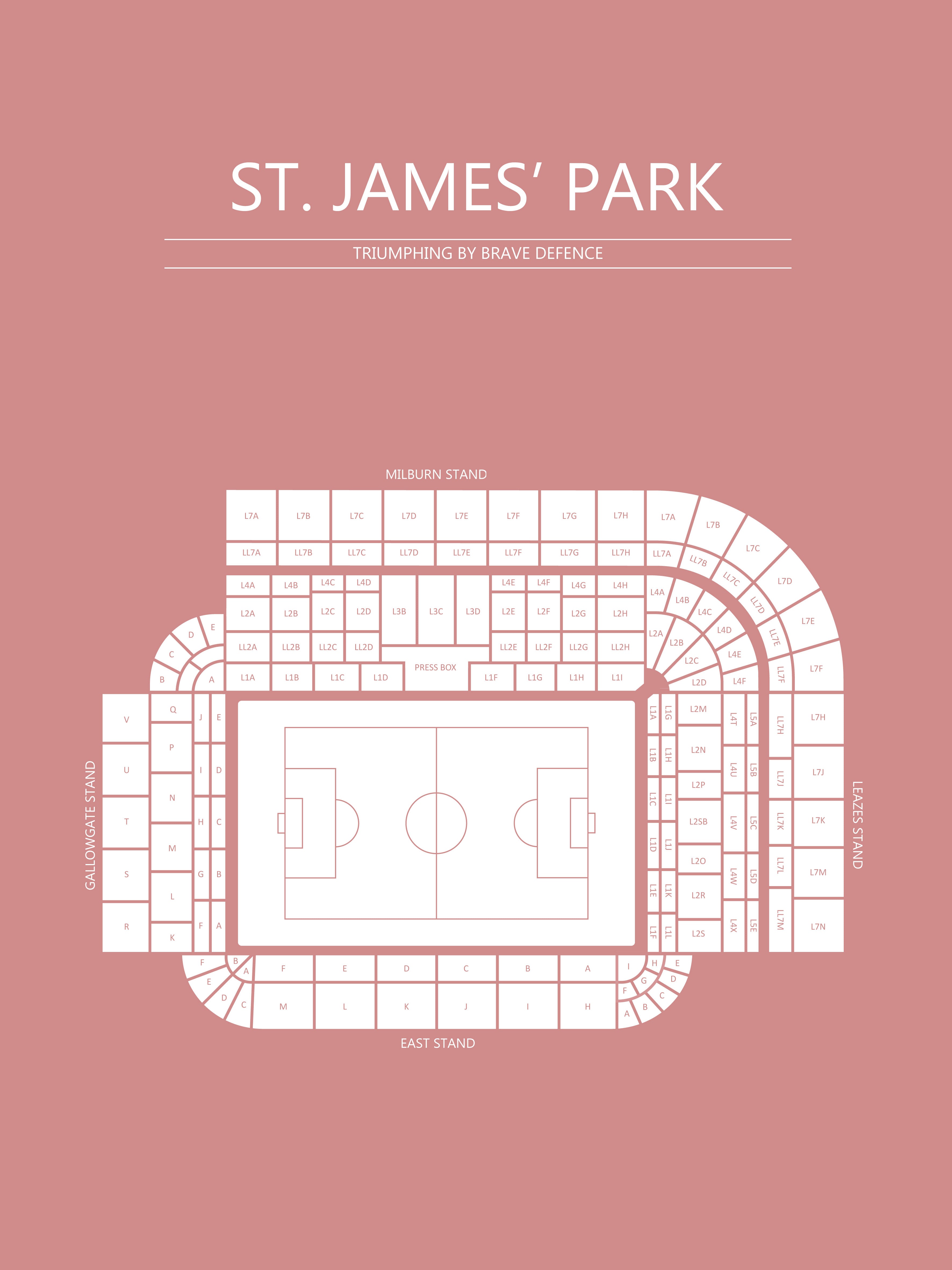 Fodbold plakat Newcastle St. James park Blush