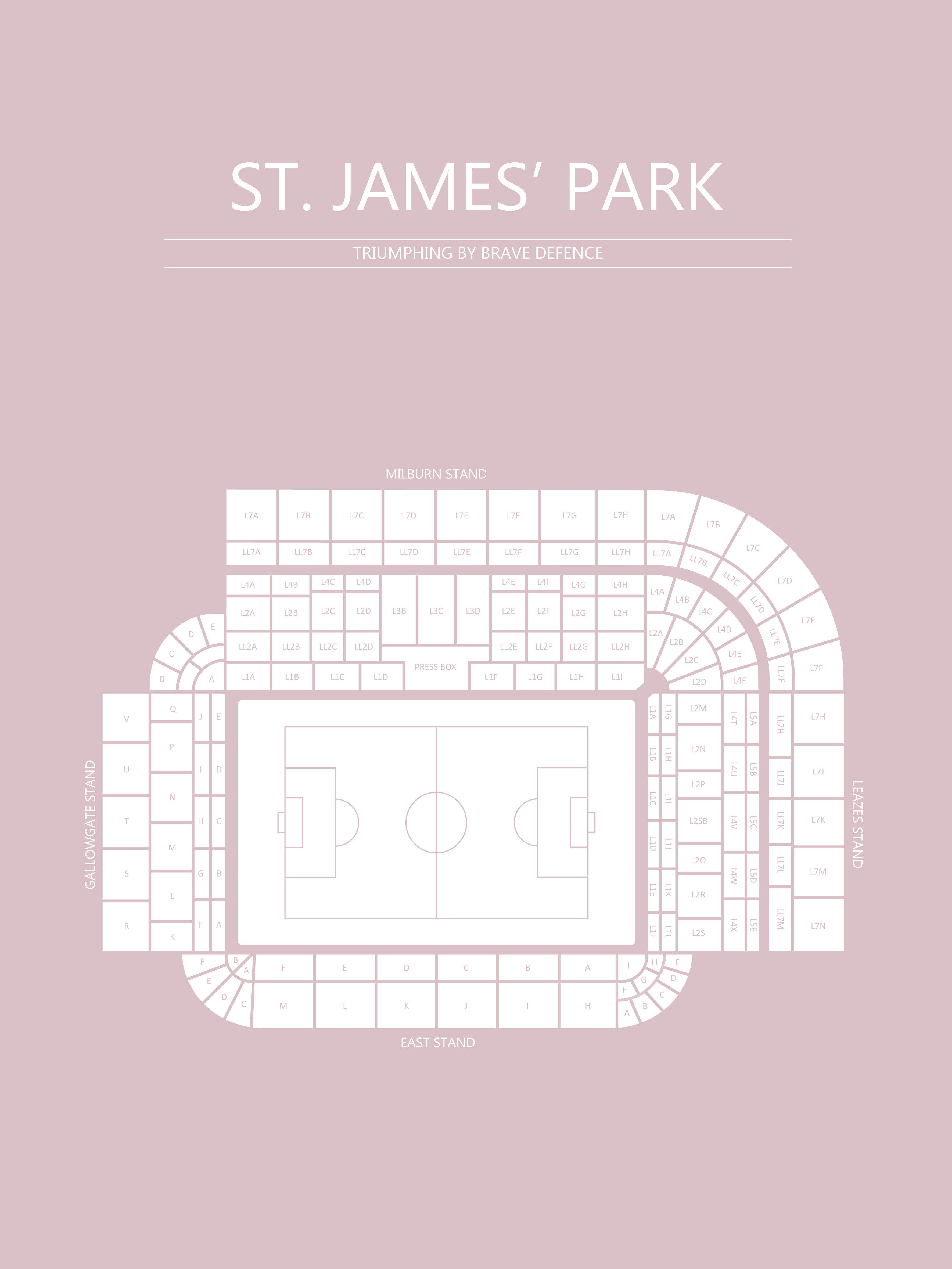 Fodbold plakat Newcastle St. James park lyserød