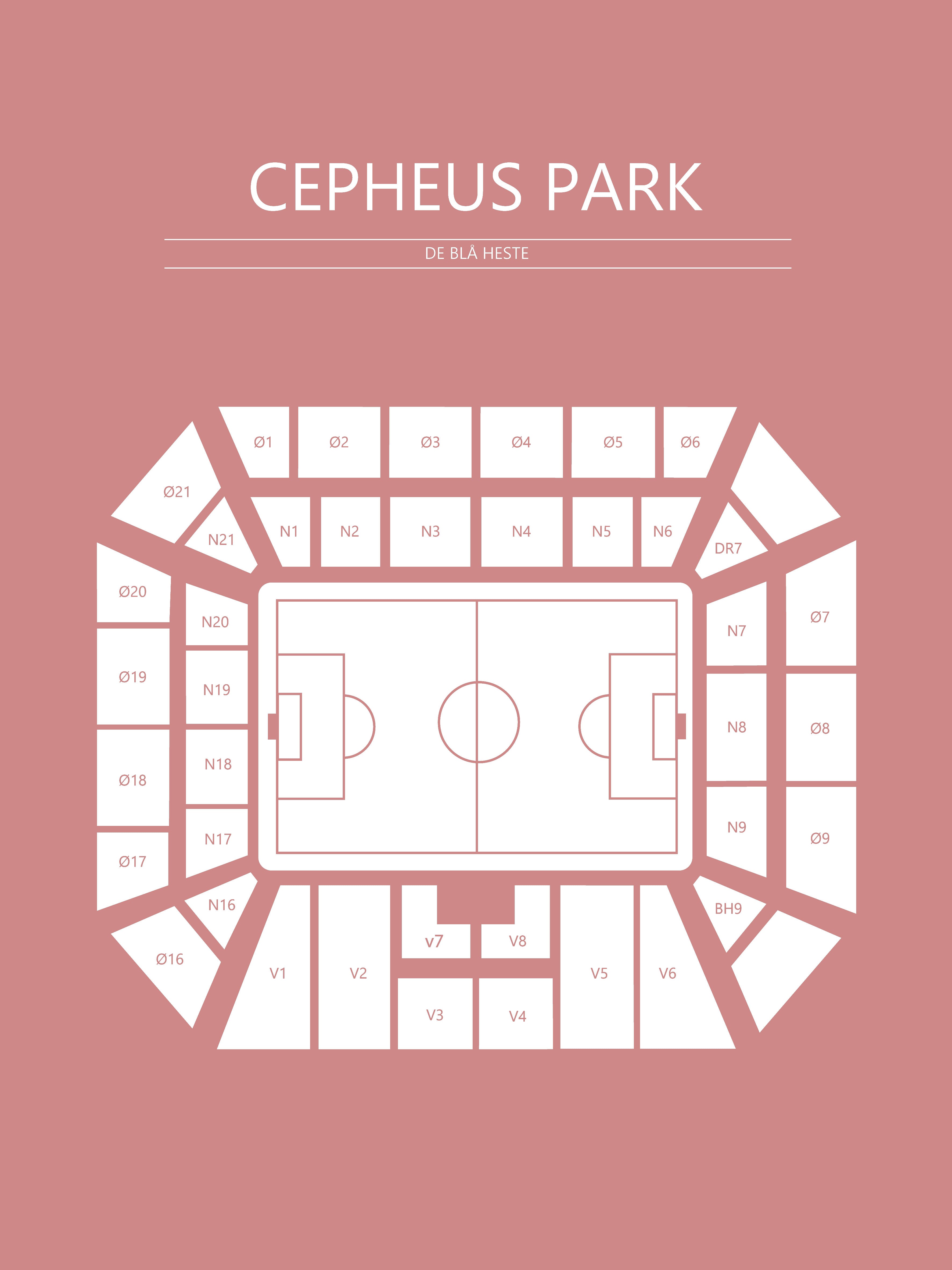 Fodbold plakat Randers Cepheus Park Blush
