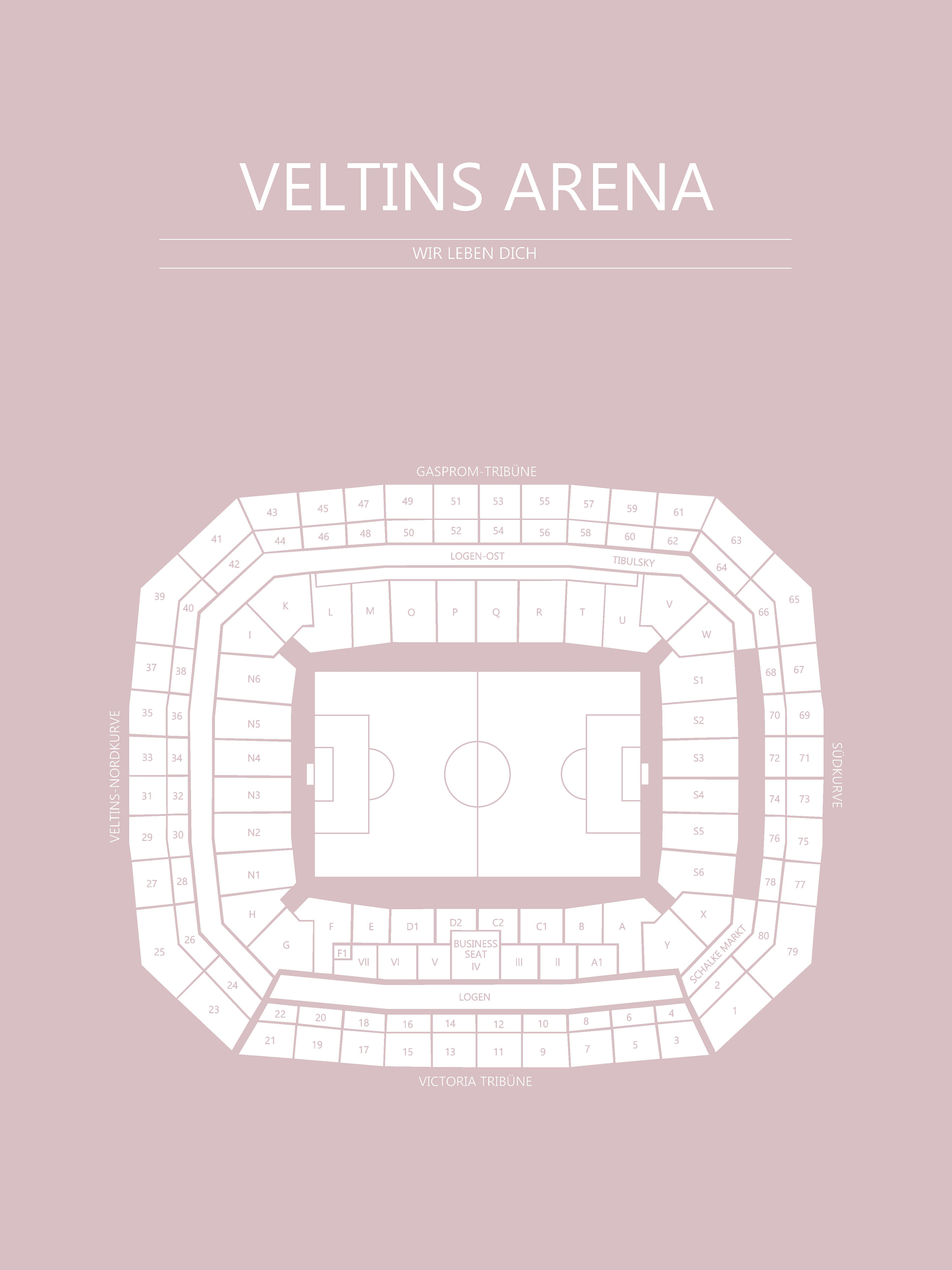 Fodbold plakat Schalke 04 Valtins Arena Lyserød