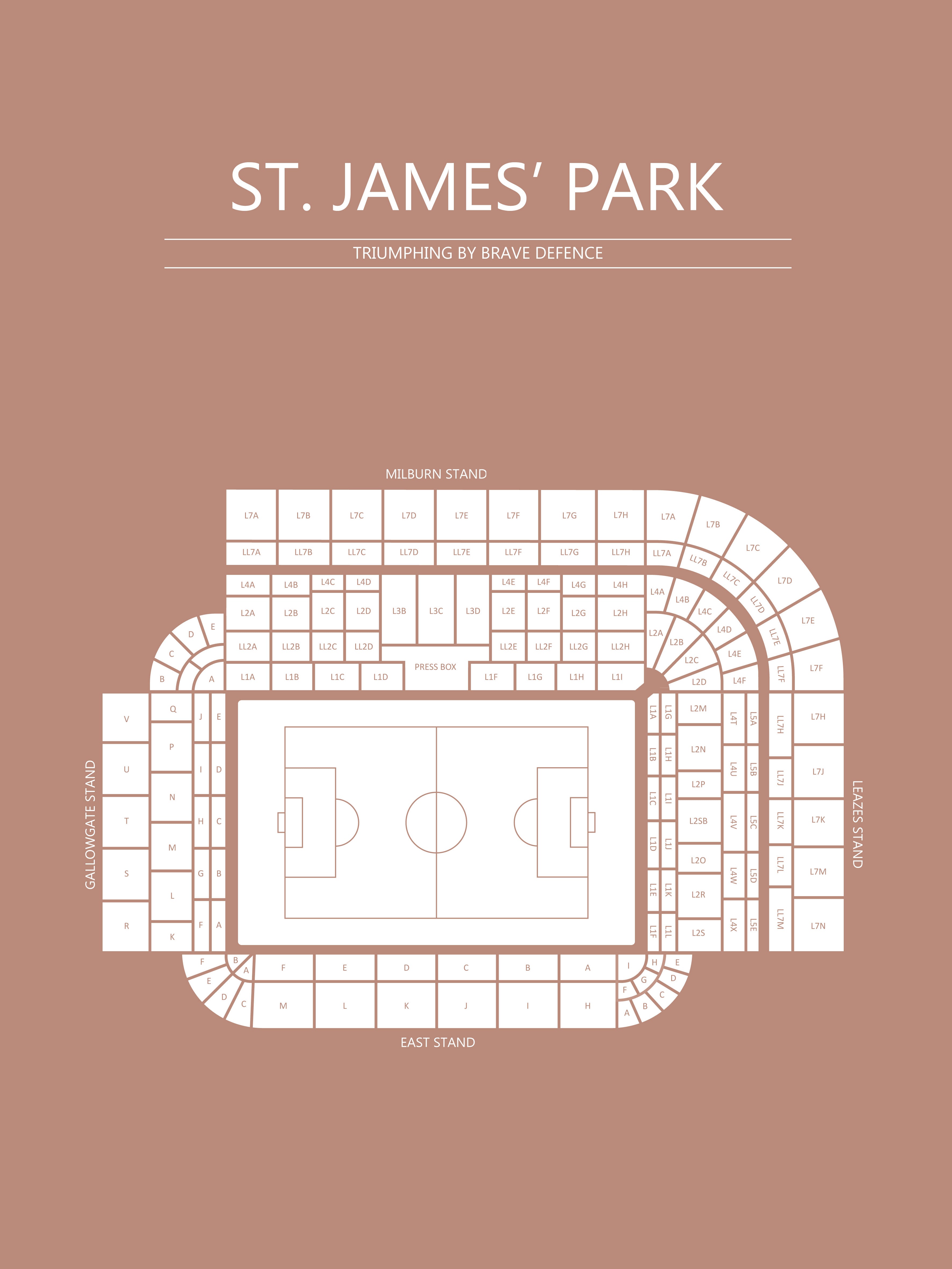 Fodbold plakat Newcastle St. James park sahara